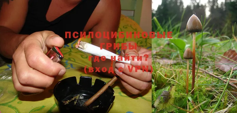 Галлюциногенные грибы MAGIC MUSHROOMS  OMG зеркало  Белая Холуница 